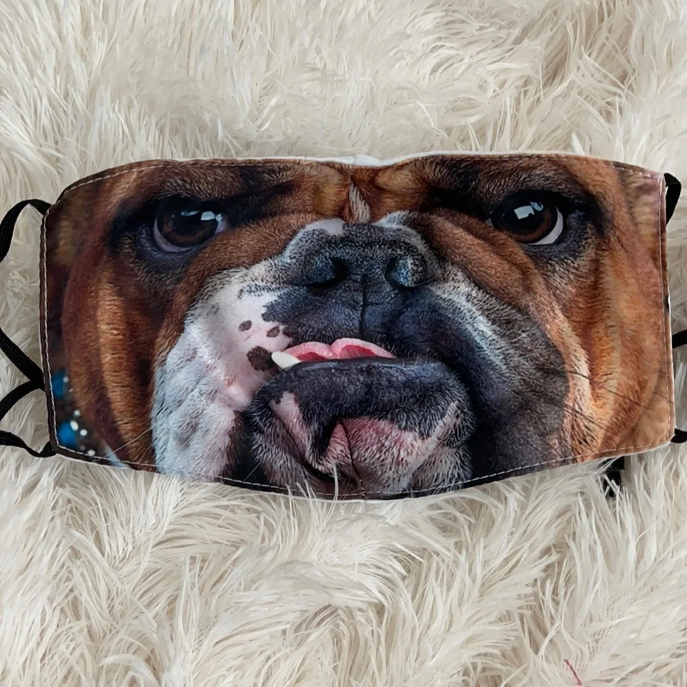 New dog face mask
